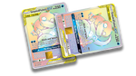 Slowpoke and Psyduck GX Holographic Card Skin — Pokemon